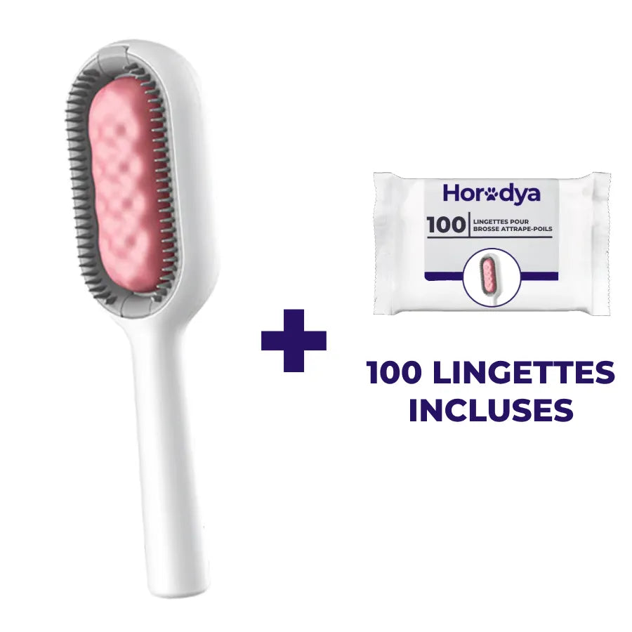 Horodya™️ - Brosse adhésive attrape-poils pour chats
