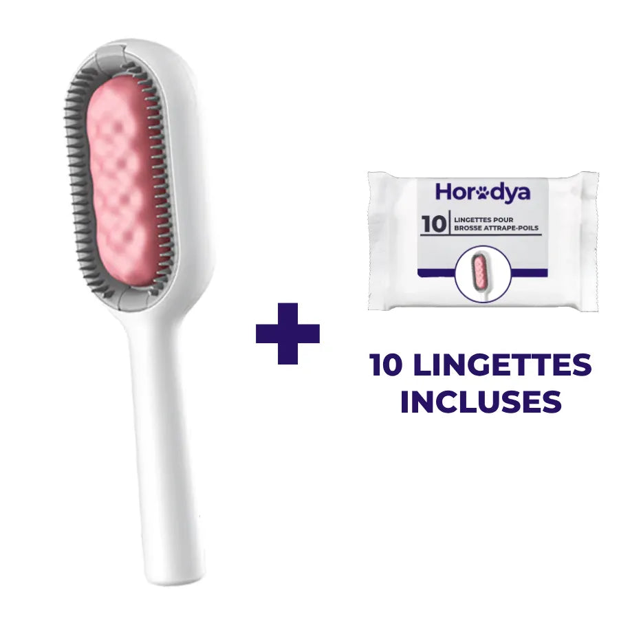 Horodya™️ - Brosse adhésive attrape-poils pour chats