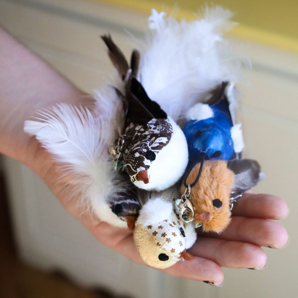 Jouet oiseau interactif pour chat