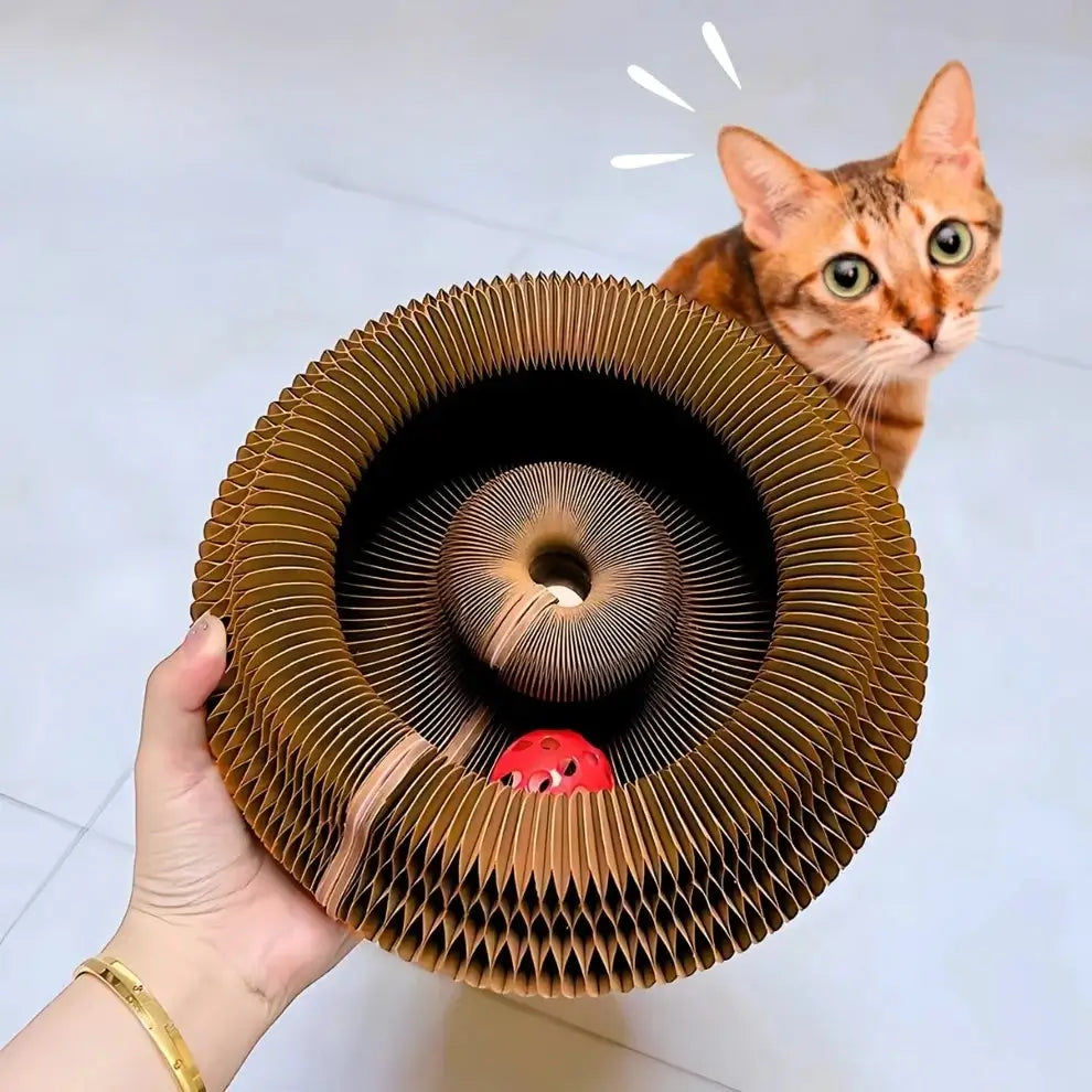 KITTY GRIFFOIR™ - Stimulez l’esprit et le corps de votre chat