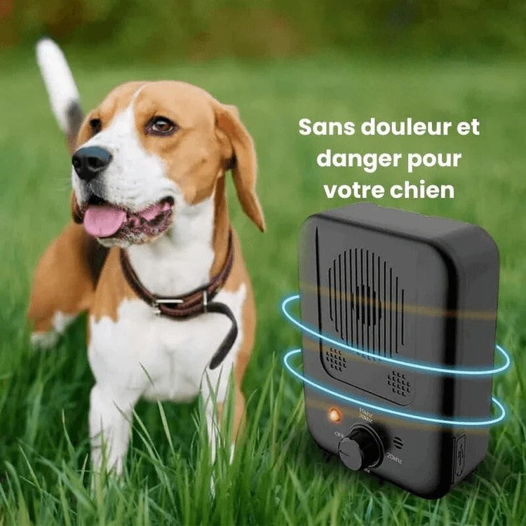 Dispositif anti-aboiement sans douleur