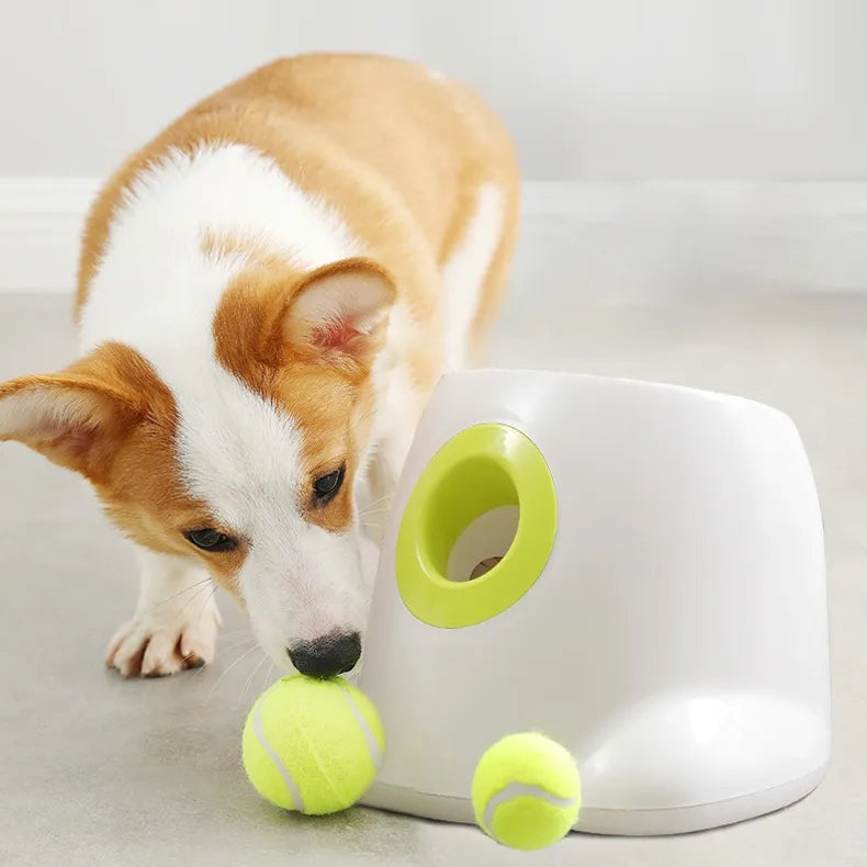 Lanceur automatique de balles pour chien - Horodya™