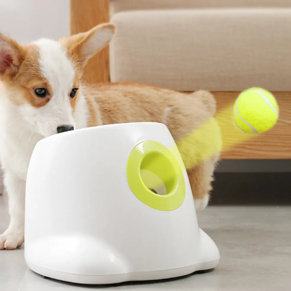 Lanceur automatique de balles pour chien - Horodya™