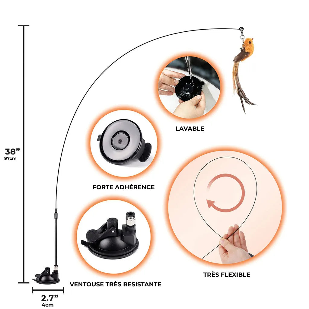 Jouet oiseau interactif pour chat