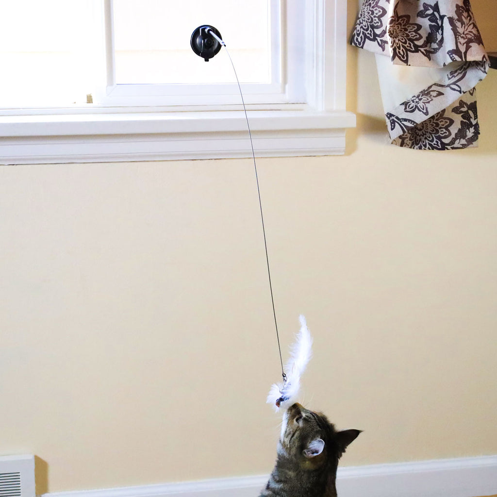 Jouet oiseau interactif pour chat