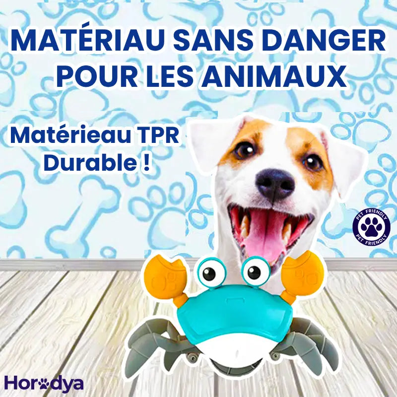 Craby™ - Jouet Interactif pour Chien