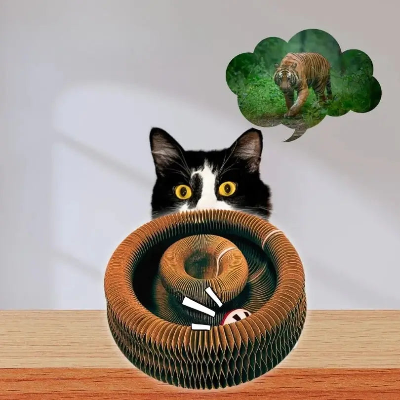 KITTY GRIFFOIR™ - Stimulez l’esprit et le corps de votre chat
