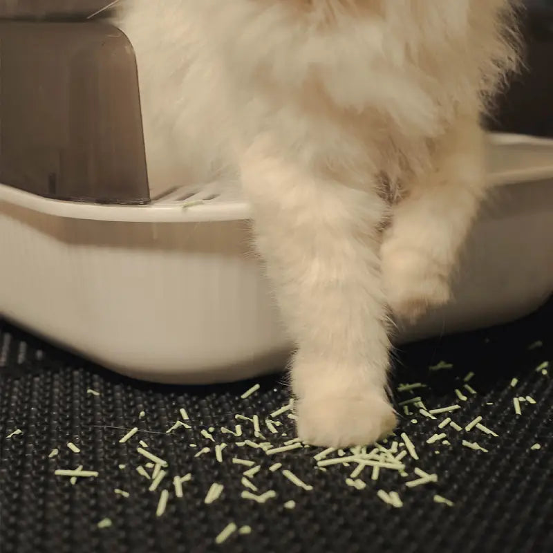 Horodya™ - Tapis de Litière pour Chat