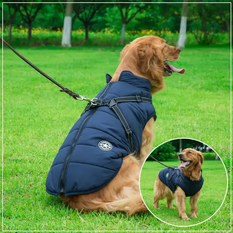 PupGuard™ - Manteau d'Hiver pour Chien