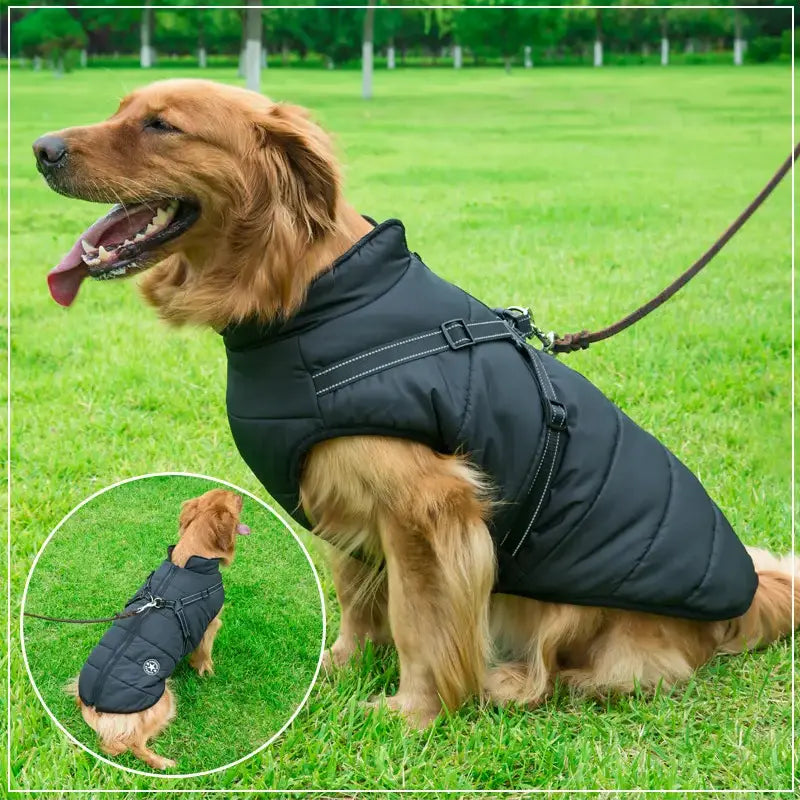 PupGuard™ - Manteau d'Hiver pour Chien