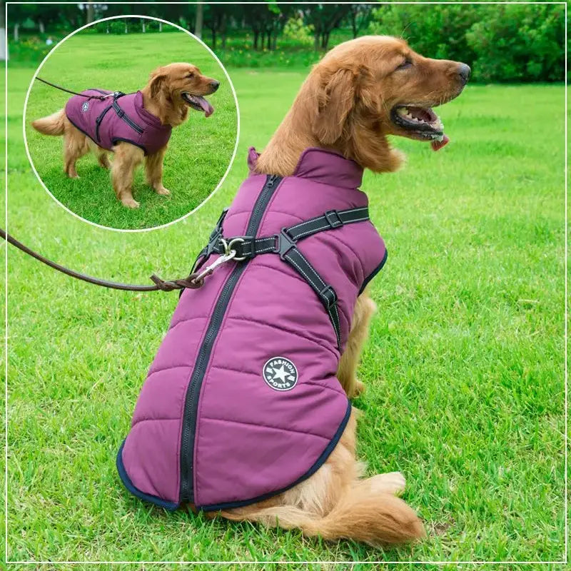 PupGuard™ - Manteau d'Hiver pour Chien