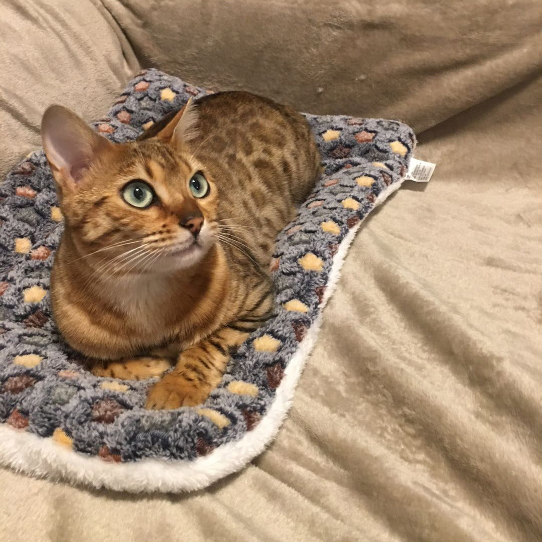 Couverture apaisante anti-anxiété pour chat - Horodya™