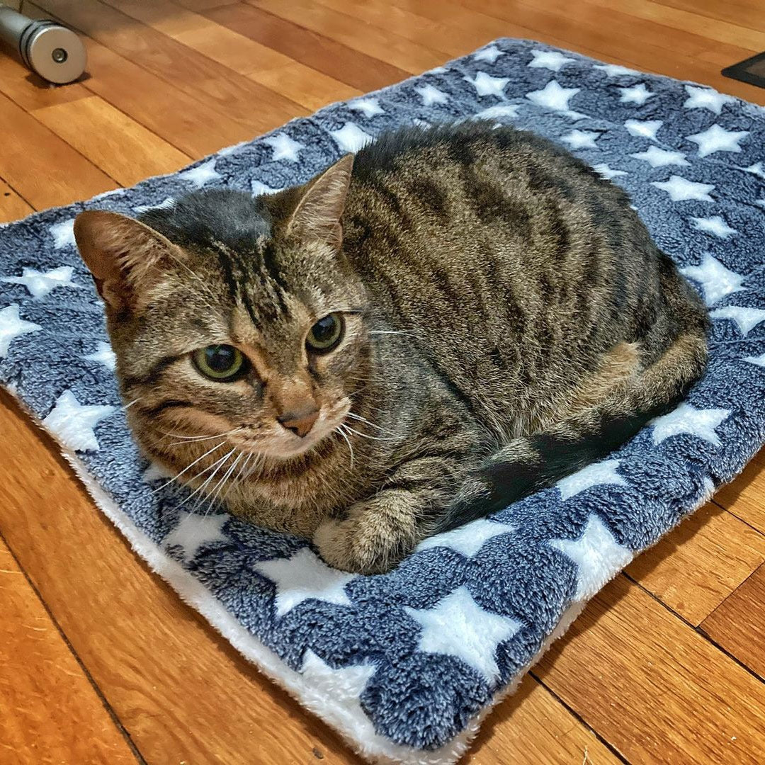 Couverture apaisante anti-anxiété pour chat - Horodya™