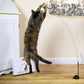 Jouet oiseau interactif pour chat