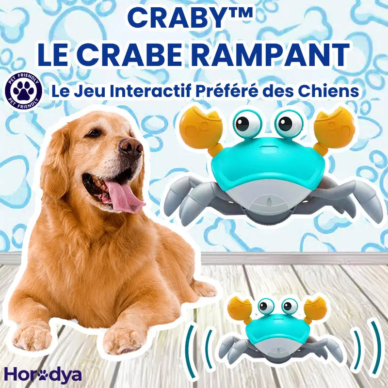 Groovy Craby  Jouet pour chien – La Niche Futée