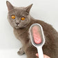 Horodya™️ - Brosse adhésive attrape-poils pour chats